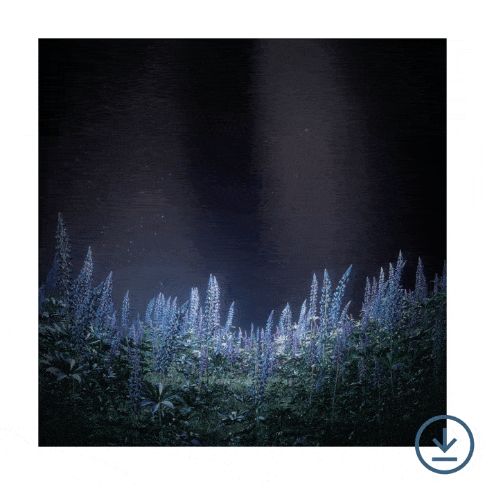 I HOPE YOU'RE HAPPY DIGITAL ALBUM (ALTERNATE ANIMATED COVER)